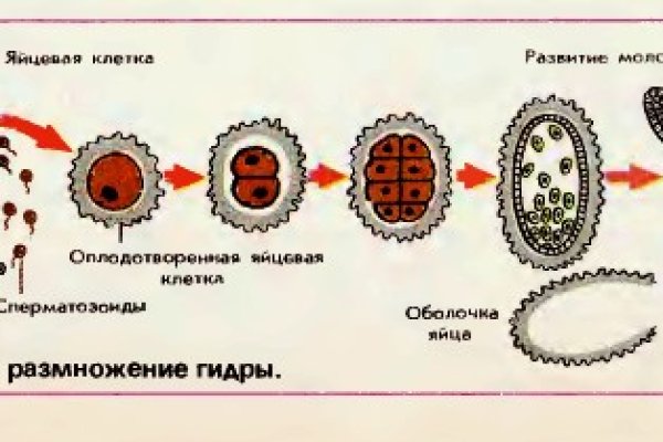 Ссылка на кракен свежая