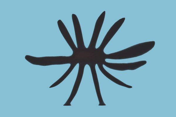 Kraken market ссылка тор