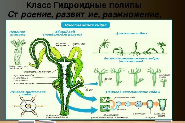 Kraken магазин ссылка