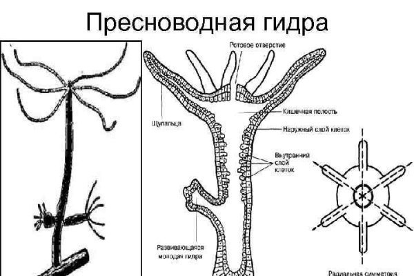 Кракен тг ссылка