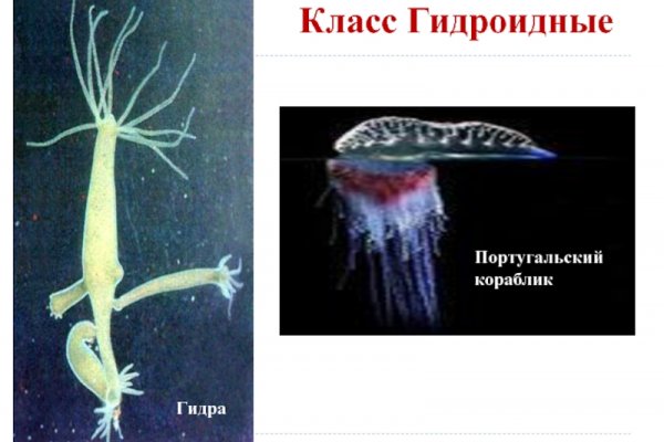 Кракен ссылка что это