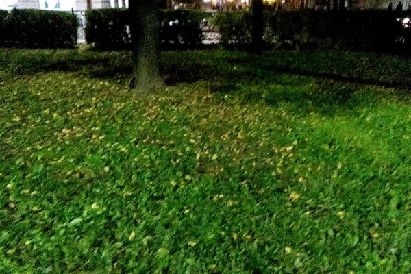 Даркмаркет кракен