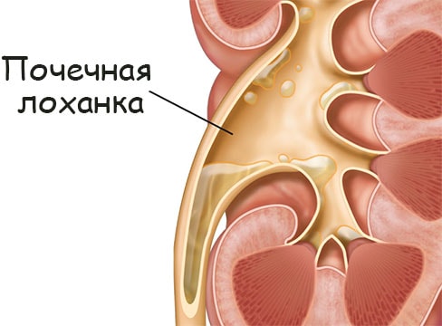 Кракен площадка