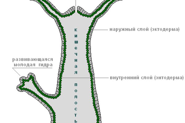 Кракен сайт биз